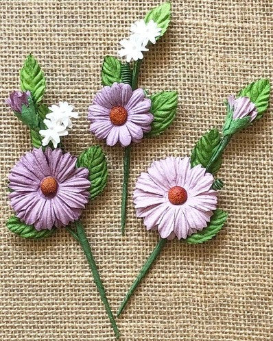 49 and Market Daisy Stems Lavender Flowers